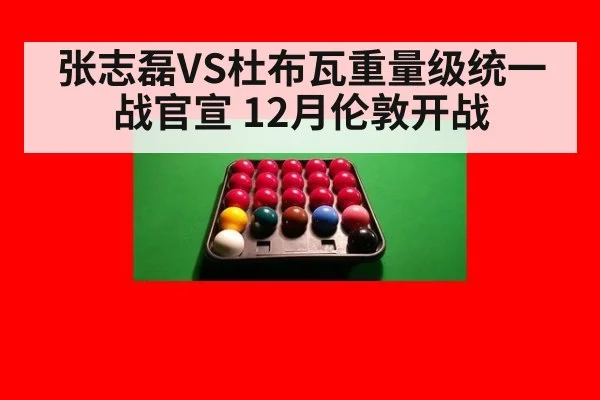 张志磊VS杜布瓦重量级统一战官宣 12月伦敦开战