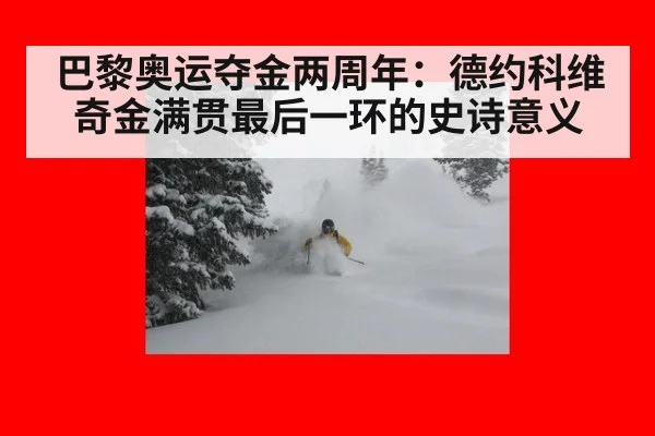巴黎奥运夺金两周年：德约科维奇金满贯最后一环的史诗意义